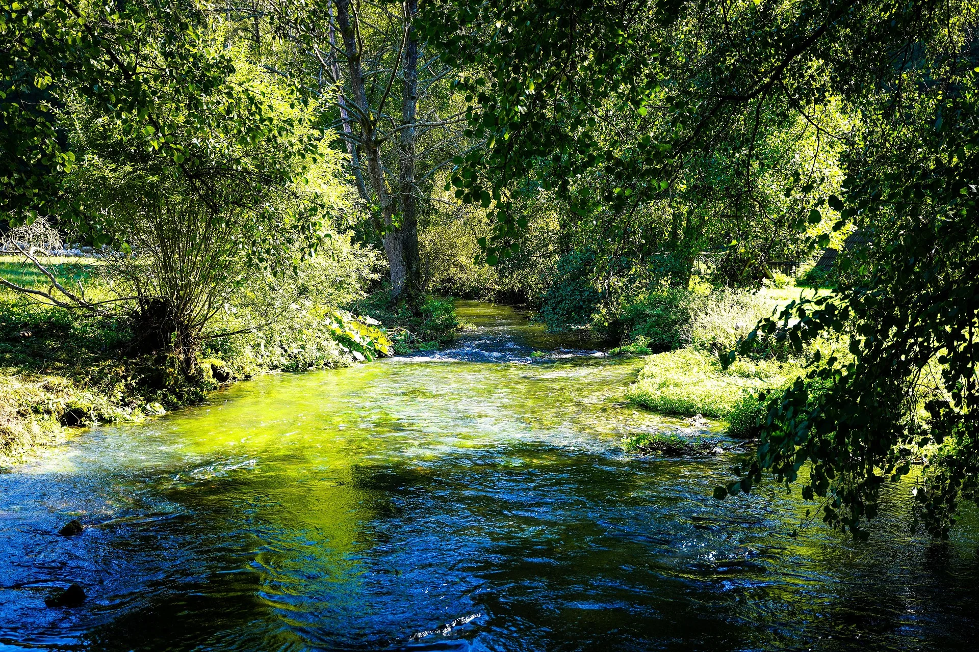 Upper Palatinate Forest