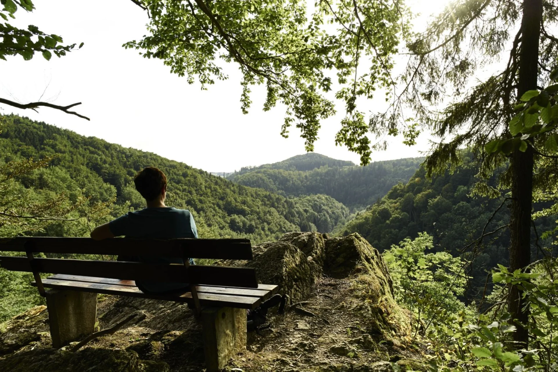 Franconian Forest
