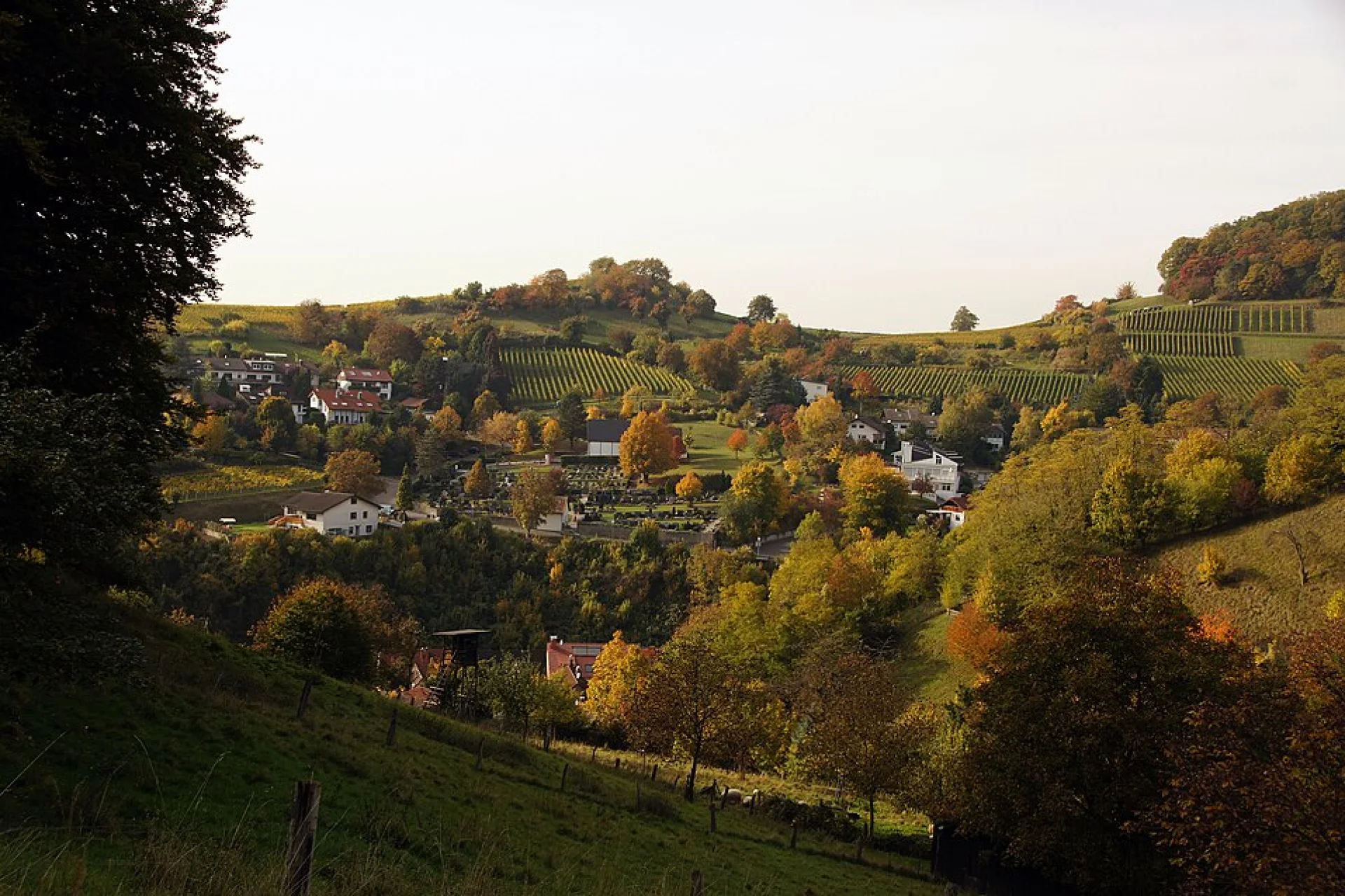 Bergstraße Region