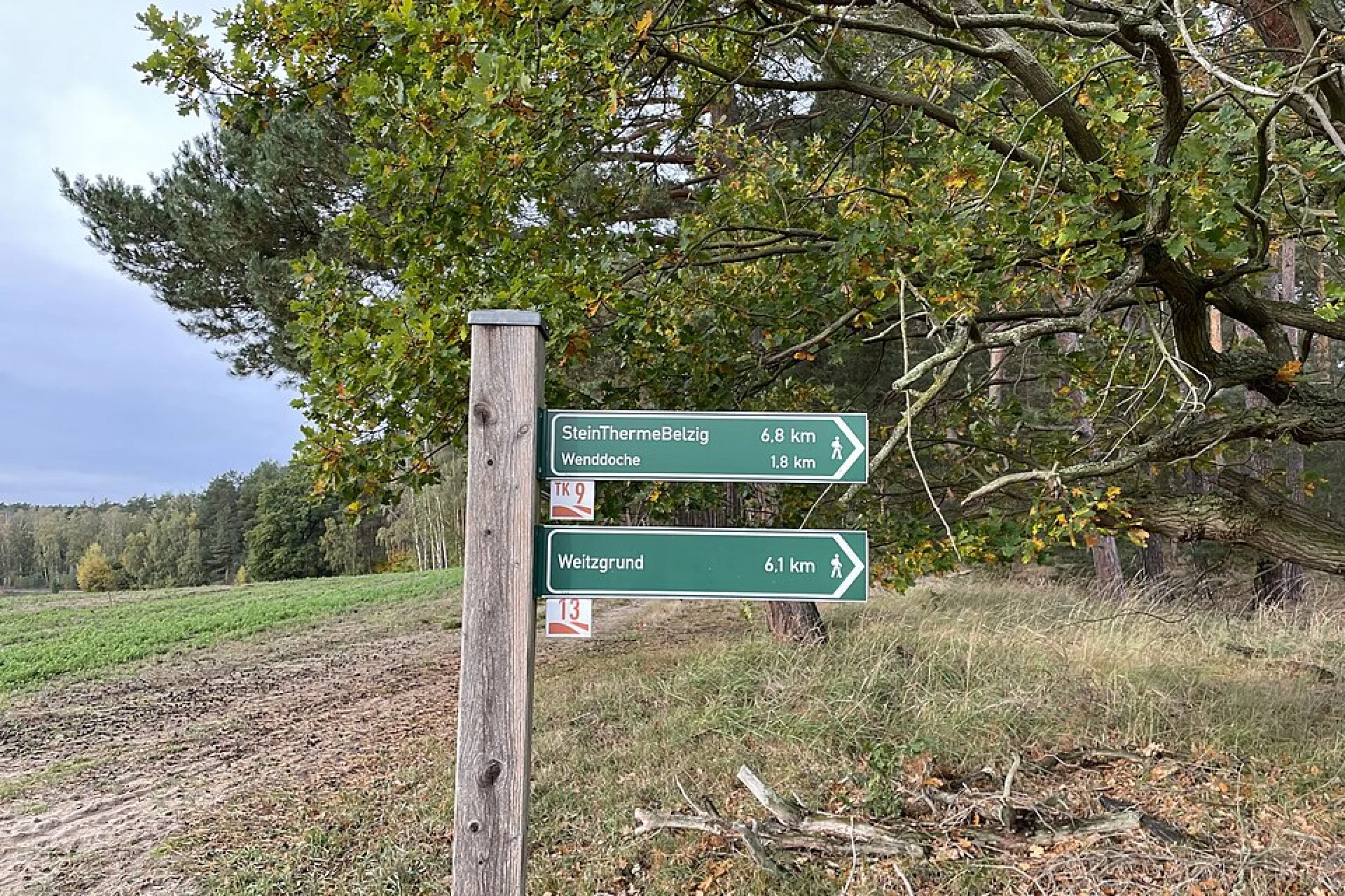 Fläming