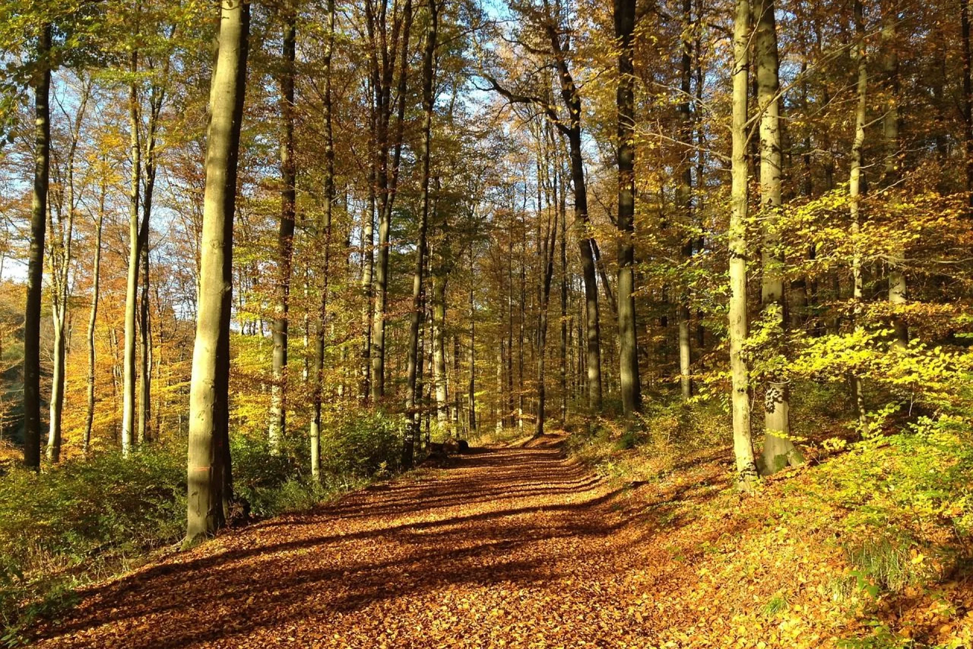 Westerwald