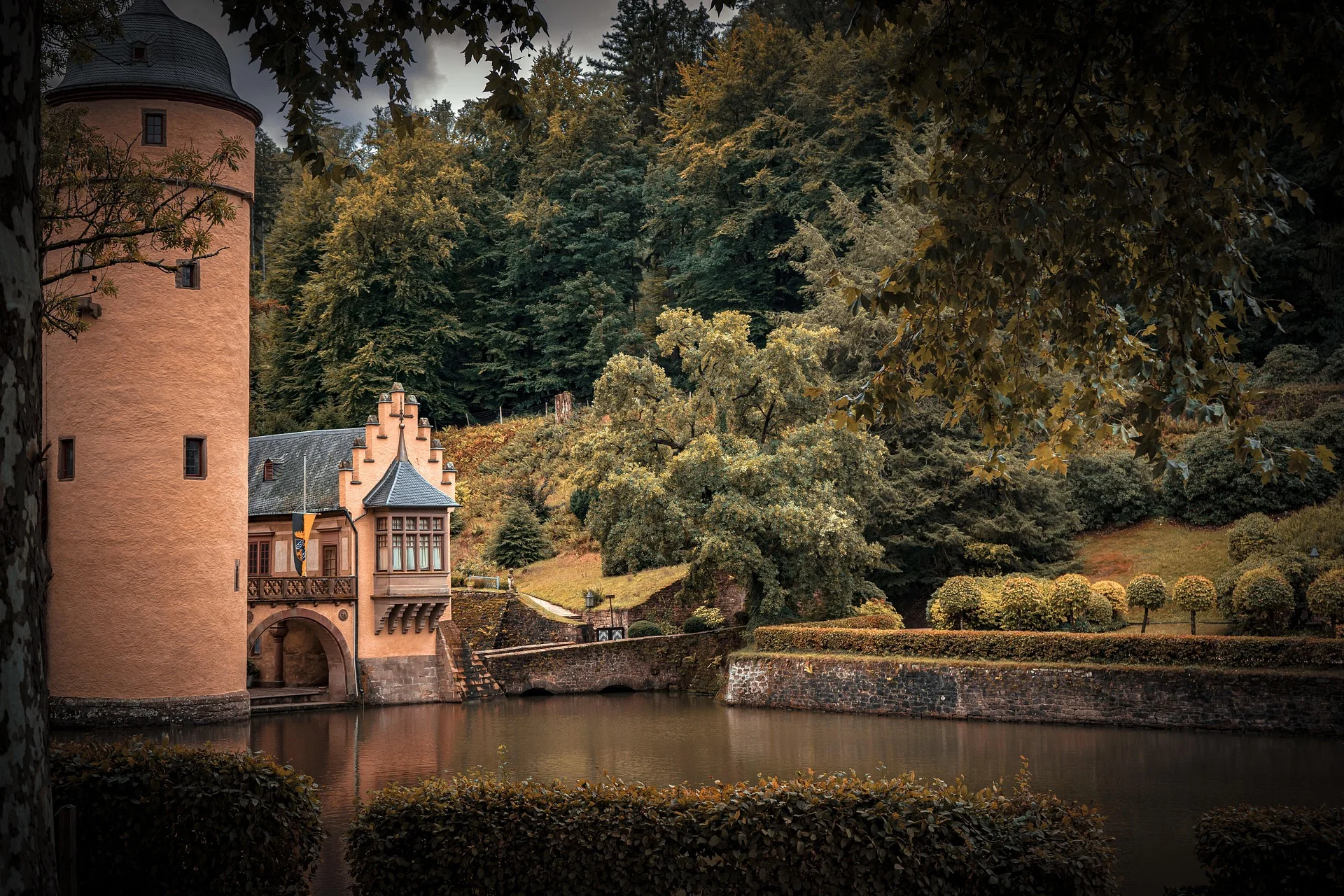 Spessart Forest