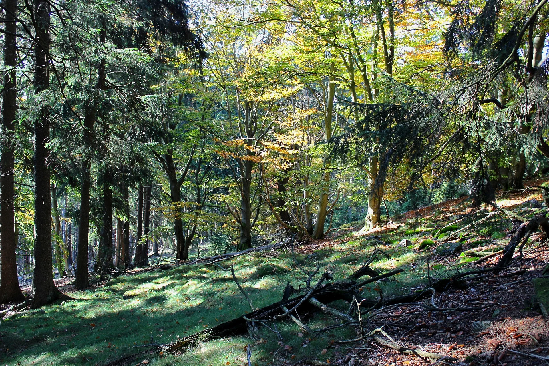 Taunus Mountains
