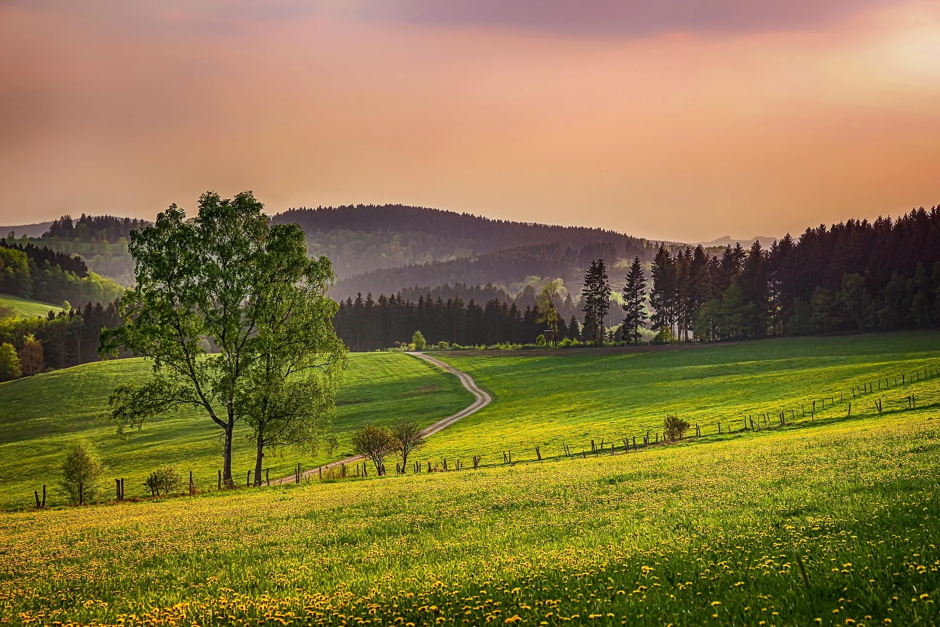 Sauerland
