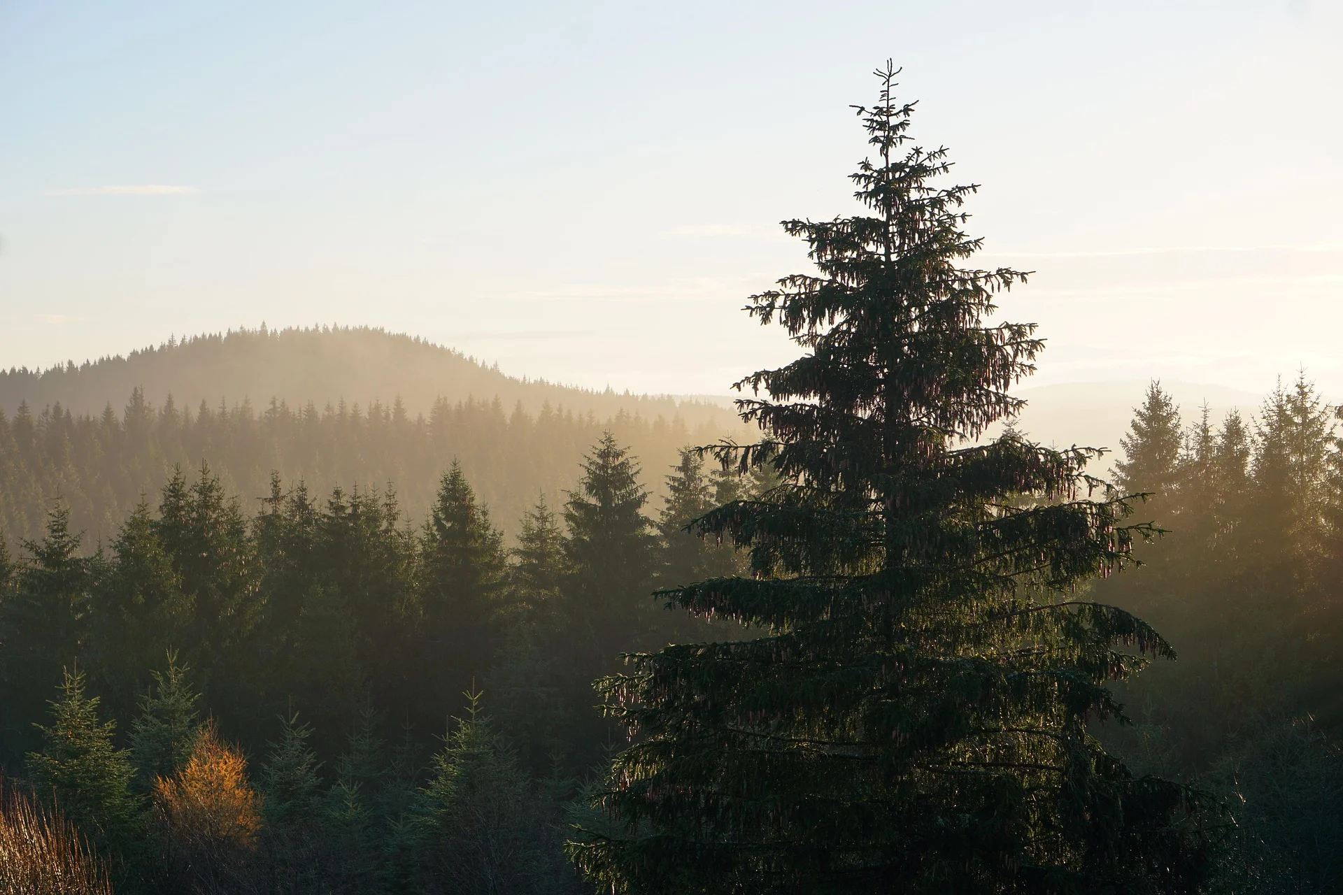 Thuringian Forest