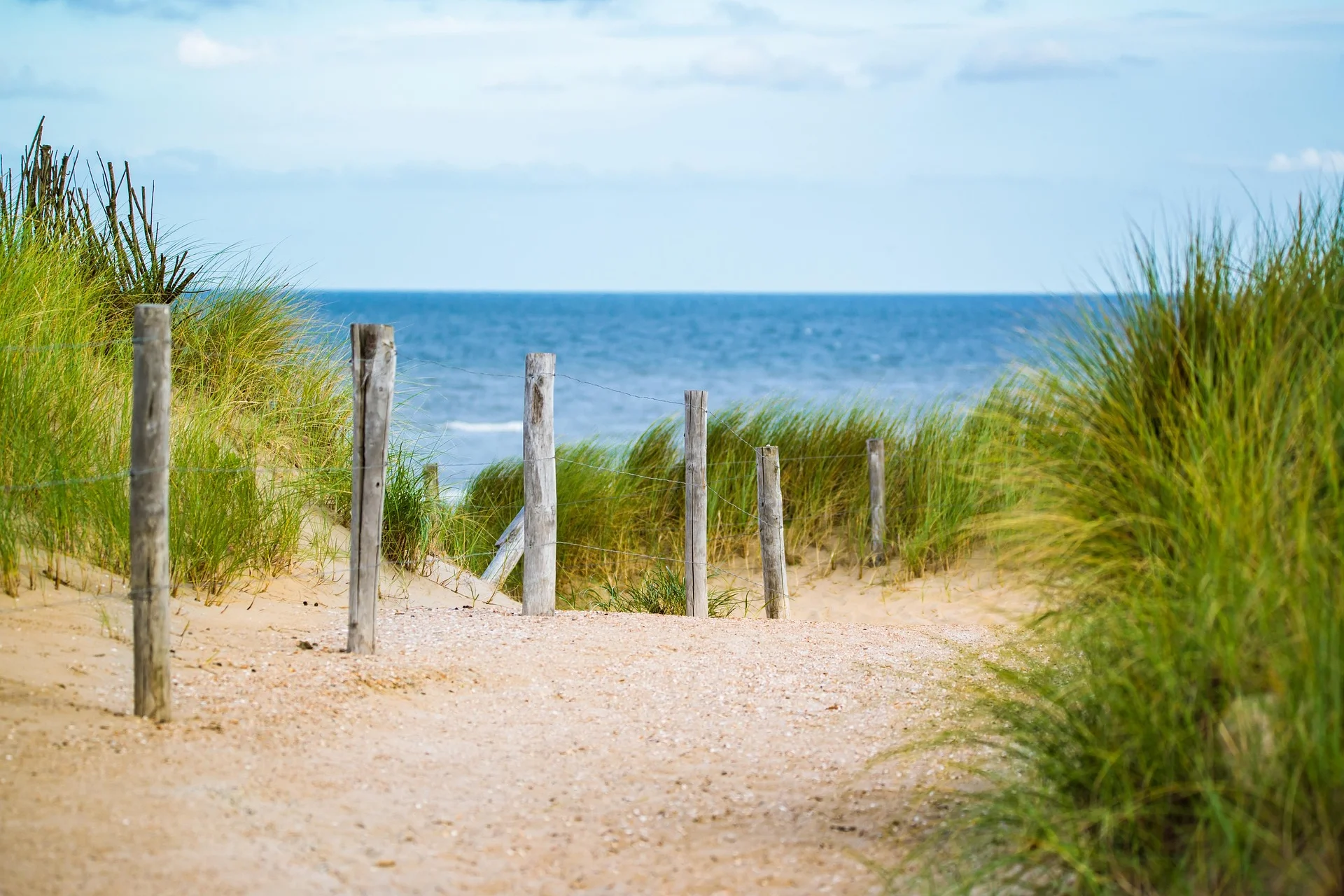 North Sea Coast