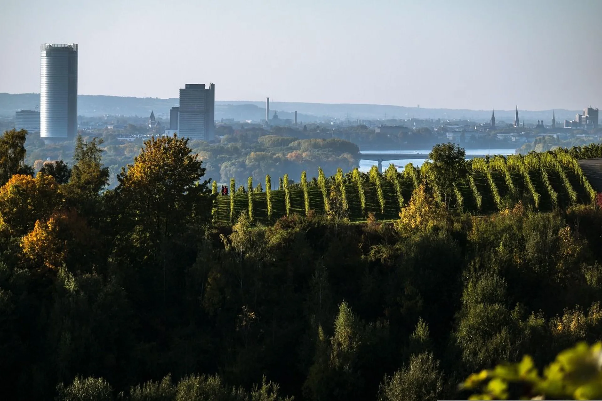 Bonn